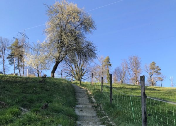 Aufstieg, Treppe, Karriere, Natur