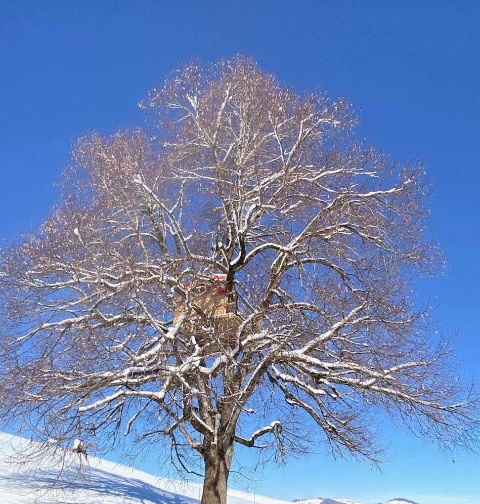 Baumhaus im Winter